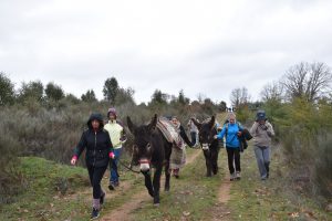 Caminhada com a companhia de burros mirandeses